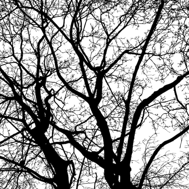 Vector silhouetten van loofbomen in de winter