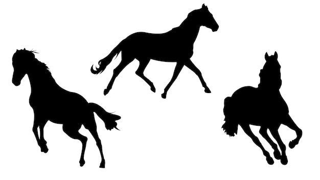 Silhouetten van paarden