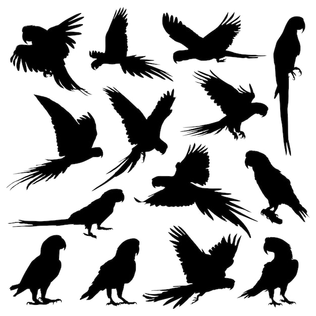 Vector silhouetten van papegaaien