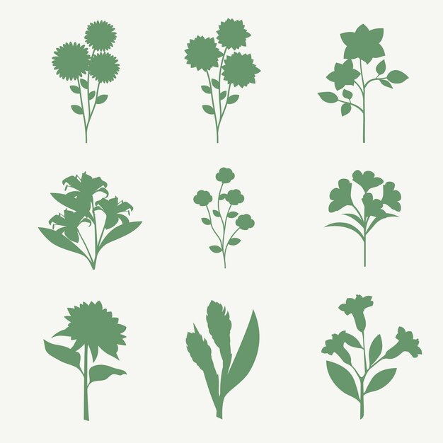 silhouetten van planten en bloemen