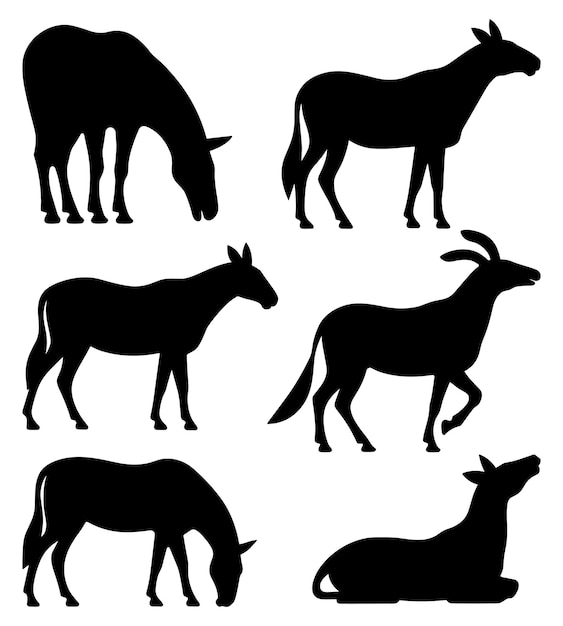 Silhouetten van verschillende paardachtigen Vectorillustratie