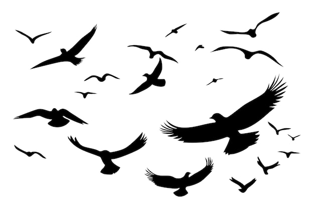 Silhouetten van vliegende vogels op een witte achtergrond Vectorillustratie