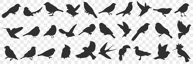Vector silhouetten van vogels doodle set