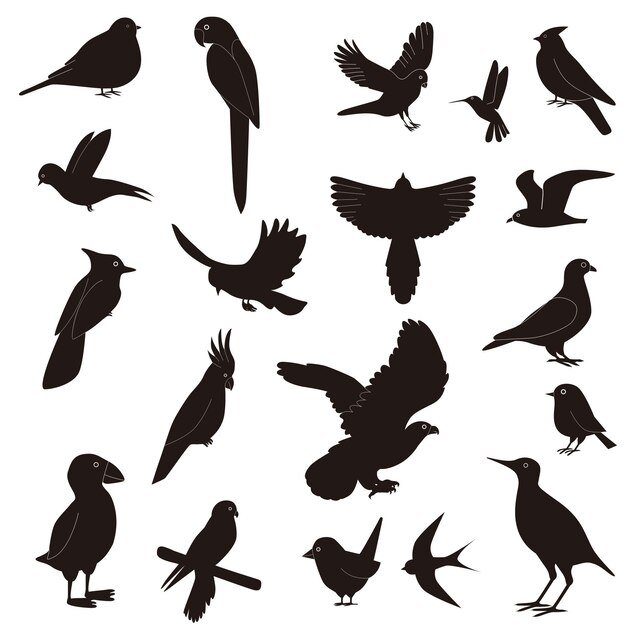 Vector silhouettes of birds in flight, isolated on white background
