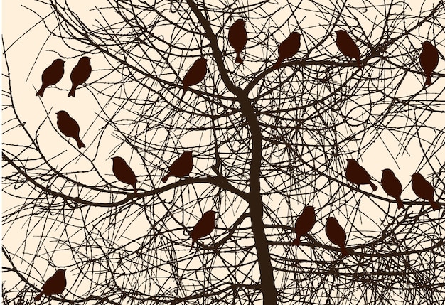 Silhouettes of the birds on the tree