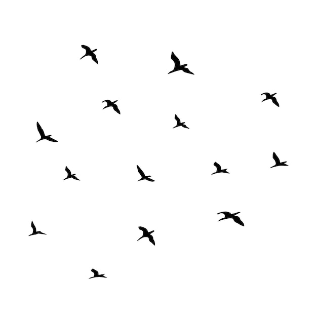 Vector silhouettes of black birds in flying flock