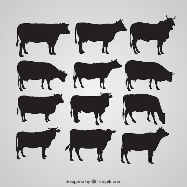 Vector silhouettes of cow