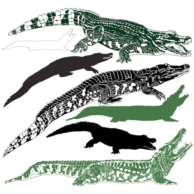 Vector silhouettes of crocodiles