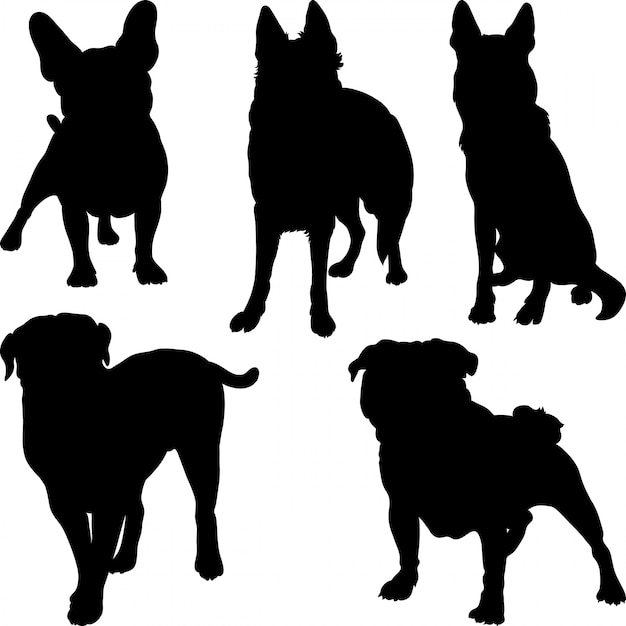 Silhouettes of different breeds of dogs in various poses