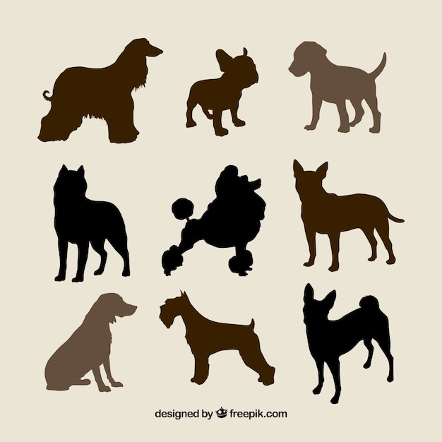 Vector silhouettes of dog breeds