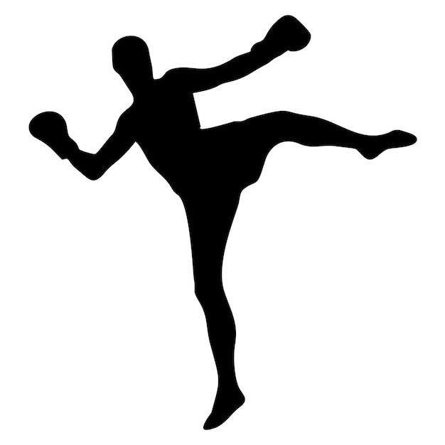 silhouettes of fights with martial arts fists