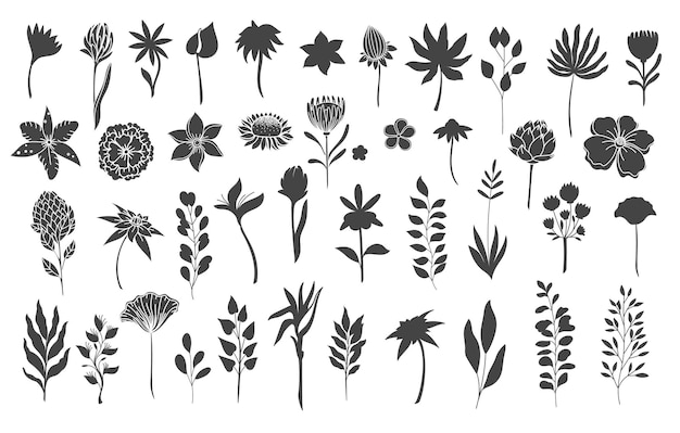 Силуэты цветочных элементов. Монохромный глиф листва натуральных листьев трав. Установите цветочные ботанические векторные иллюстрации.