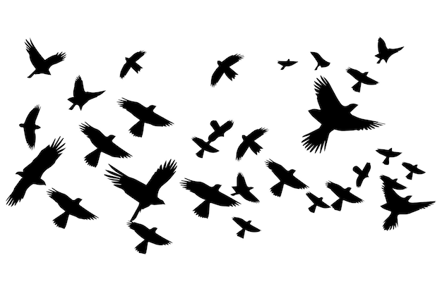 silhouettes flying birds Vector illustration