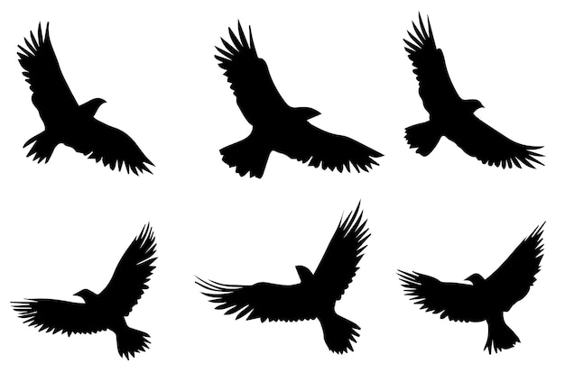 silhouettes flying birds Vector illustration