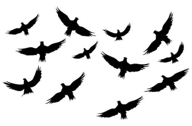 silhouettes flying birds Vector illustration