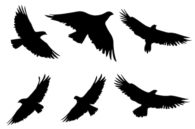 silhouettes flying birds Vector illustration