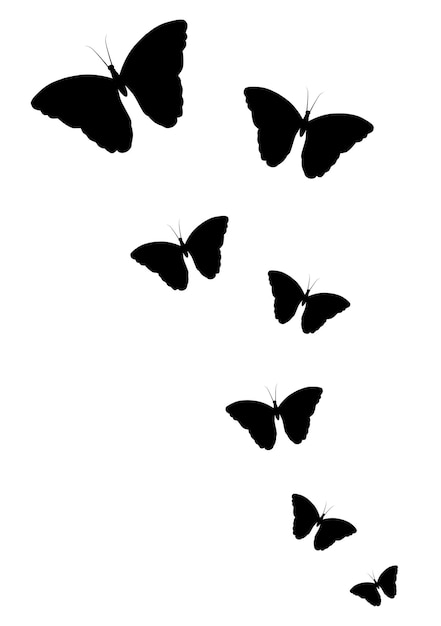 흰색 배경에 비행 나비의 실루엣