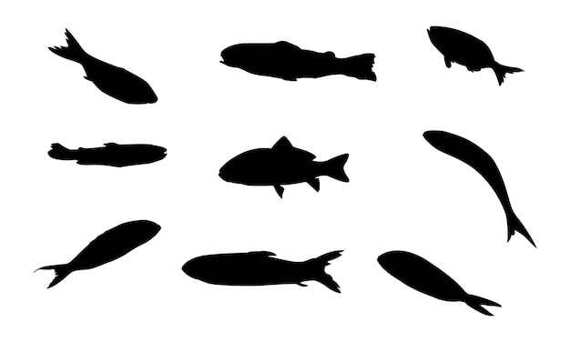 Silhouettes of groups of fishes on white