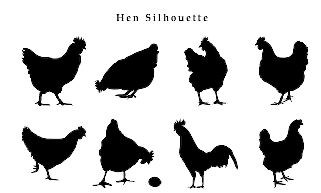 Silhouettes of hen chicken vector Illustration