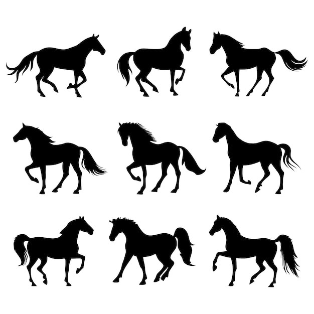 silhouettes of horses running