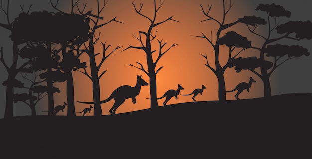 silhouettes of kangaroos running from forest fires in australia animals dying in wildfire bushfire natural disaster concept horizontal