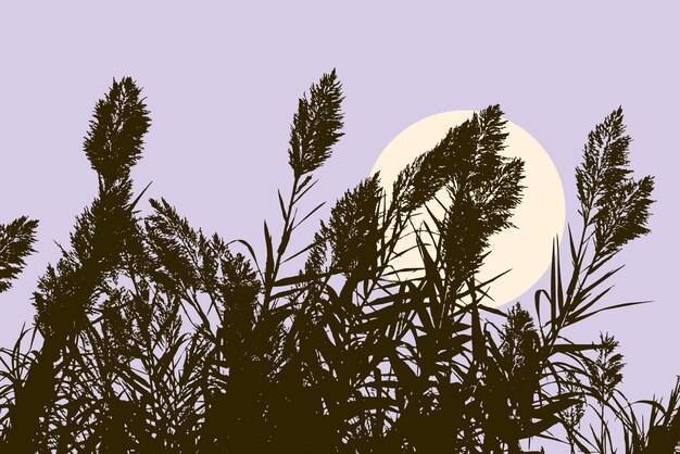 Vector silhouettes of the meadow plants on the night sky