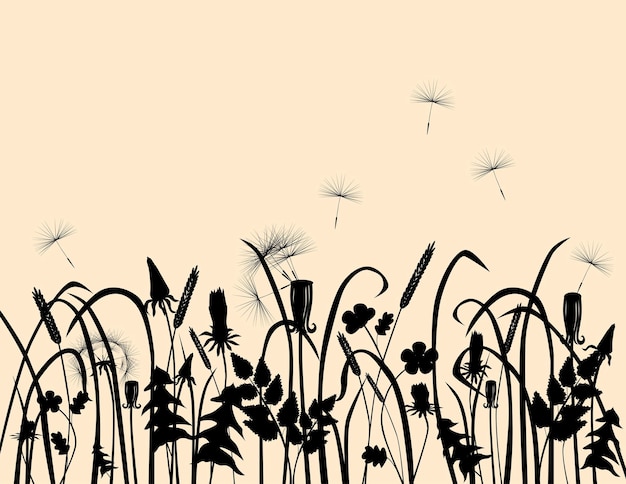 Vector silhouettes of meadow plants at sunrise