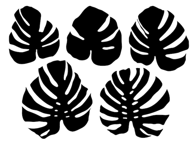 Silhouettes of monstera leaves