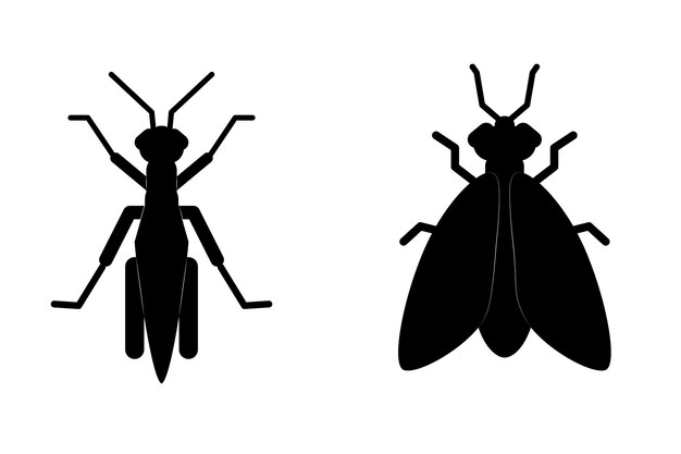 Vector silhouettes of a mosquito and a mosquito