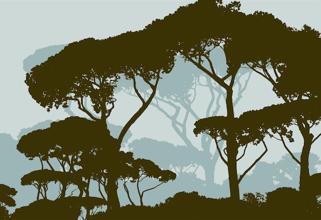 Vector silhouettes of the nutpine forest