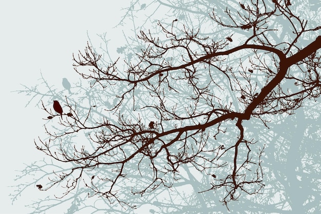 Vector silhouettes of the oak branches in the winter forest