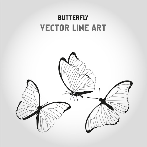 Вектор Силуэты бабочек или бабочек-векторов lineart