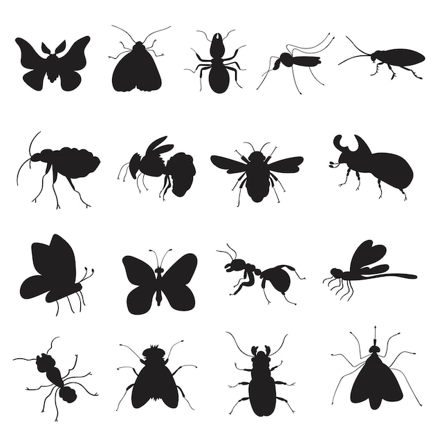 Silhouettes. Set of insects. Black color illustrations. Hand drawn graphic design.