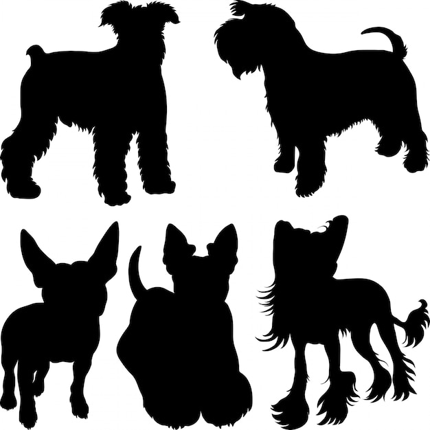 silhouettes of terrier dogs in the rack