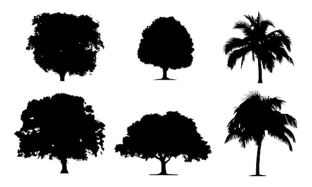 Silhouettes of trees and palm trees on a white background