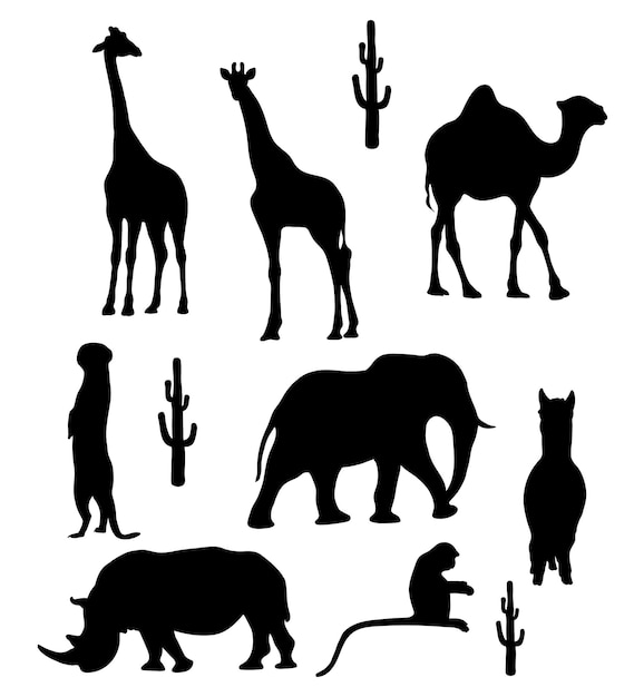 Vector silhouettes of tropical wild african animals rhinoceros giraffe meerkat camel monkey elephant llama