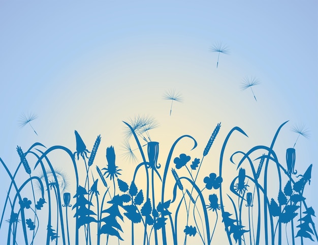 silhouettes of wildflowers at sunrise