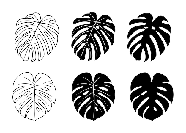 Silhouettes with tropical palm leaves monstera floral background isolated on white background