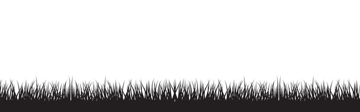 Vector silhoutte of black grass vector