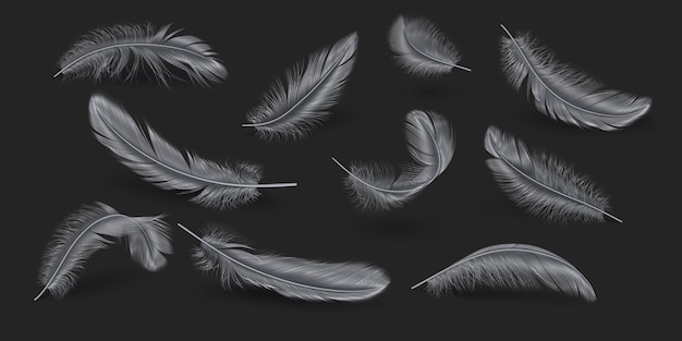 Vector silver feathers realistische vector illustratie collectie