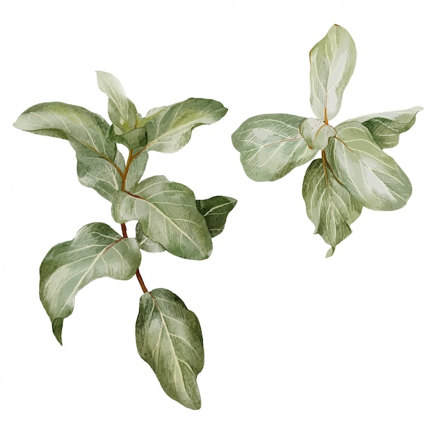 Silverberry branch, set of two