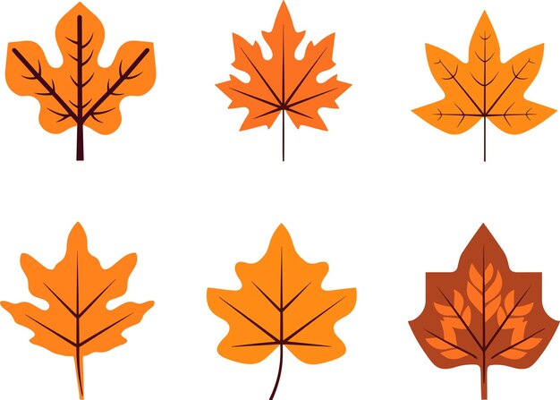 Simple Autumn leaves set vector isolated on white background Design for stickers logo web and mobile app