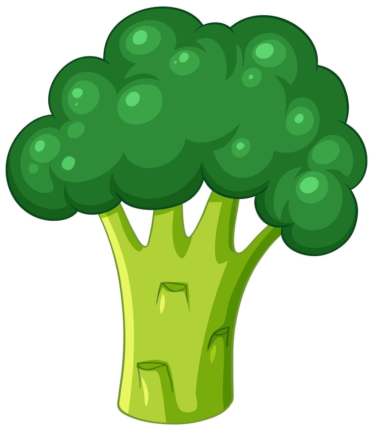 Vector simple broccoli cartoon isolated