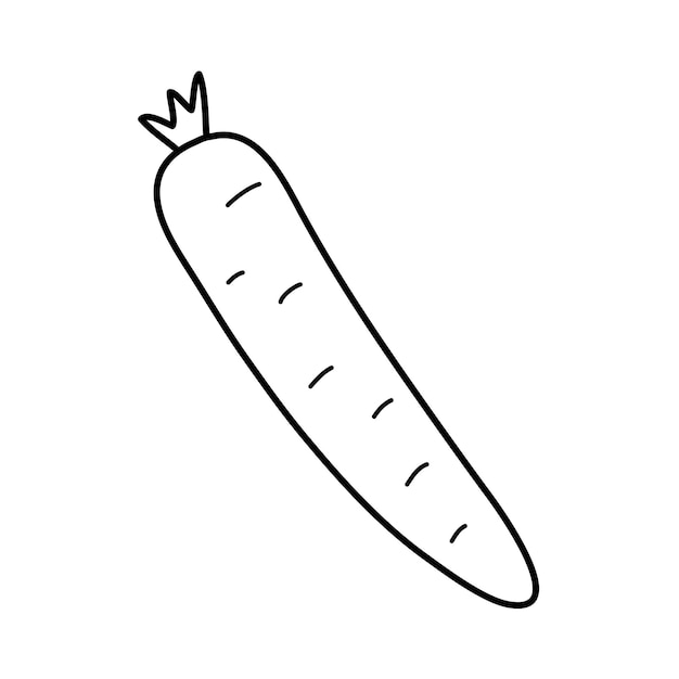 Simple carrot in doodle style