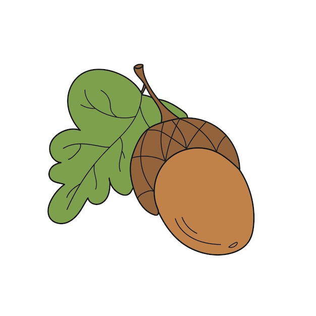 Simple cartoon icon brown acorn and leaf can be used as a card in the game
