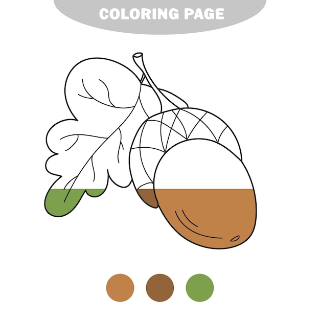 어린이를 위한 간단한 색칠 공부 페이지 도토리 색칠 공부 게임