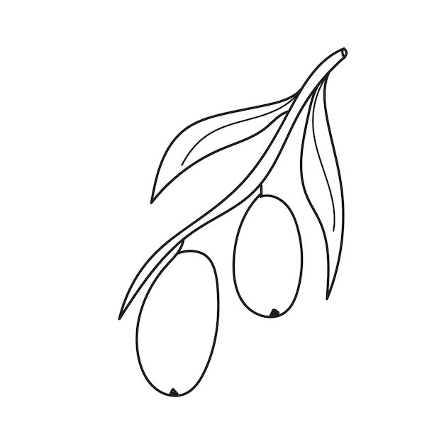 Simple coloring page coloring book for children with olives