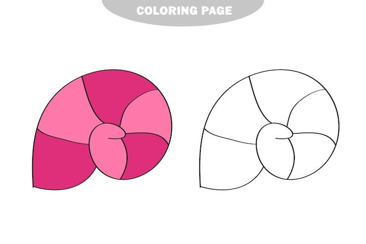Vector simple coloring page line drawn round seashell on white isolated background