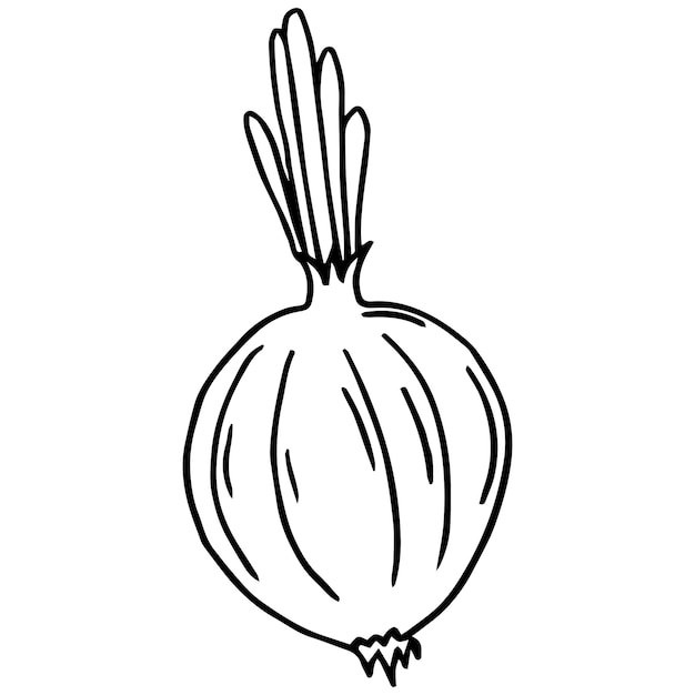 Vector simple coloring page. onion - line art. coloring book for kids. vegetables