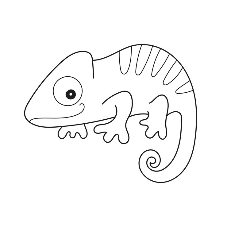 Vector 색칠하기 책에 대한 카멜레온의 간단한 색칠 페이지 벡터 일러스트 레이 션